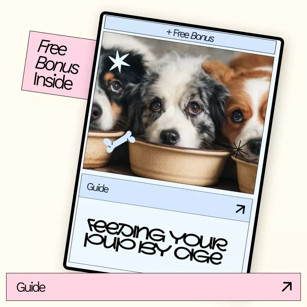 Feeding Your Pup by Age – Puppy Feeding Guide, Dog Nutrition eBook, Puppy Food Checklist, New Puppy Care Digital Download