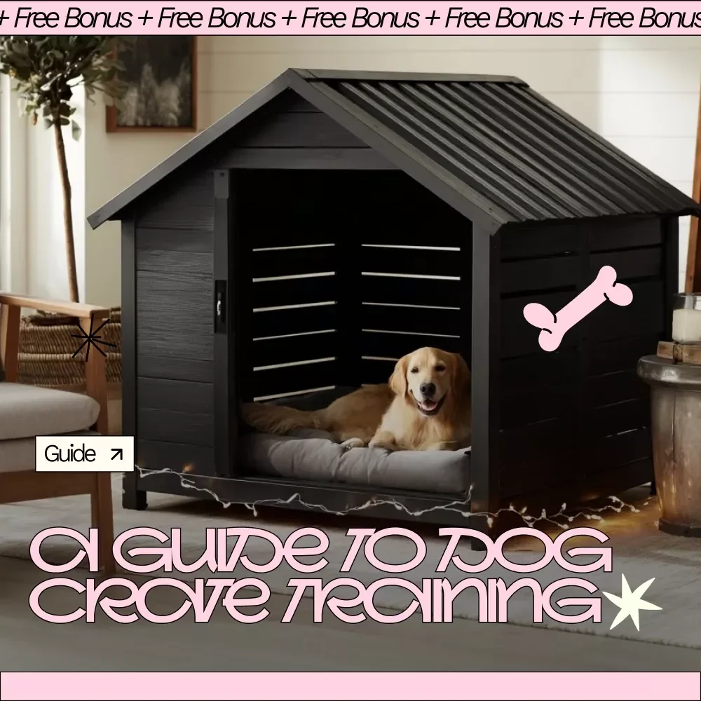 A Guide to Dog Crate Training – Easy Puppy & Adult Dog Crate Success, Step-by-Step Routine
