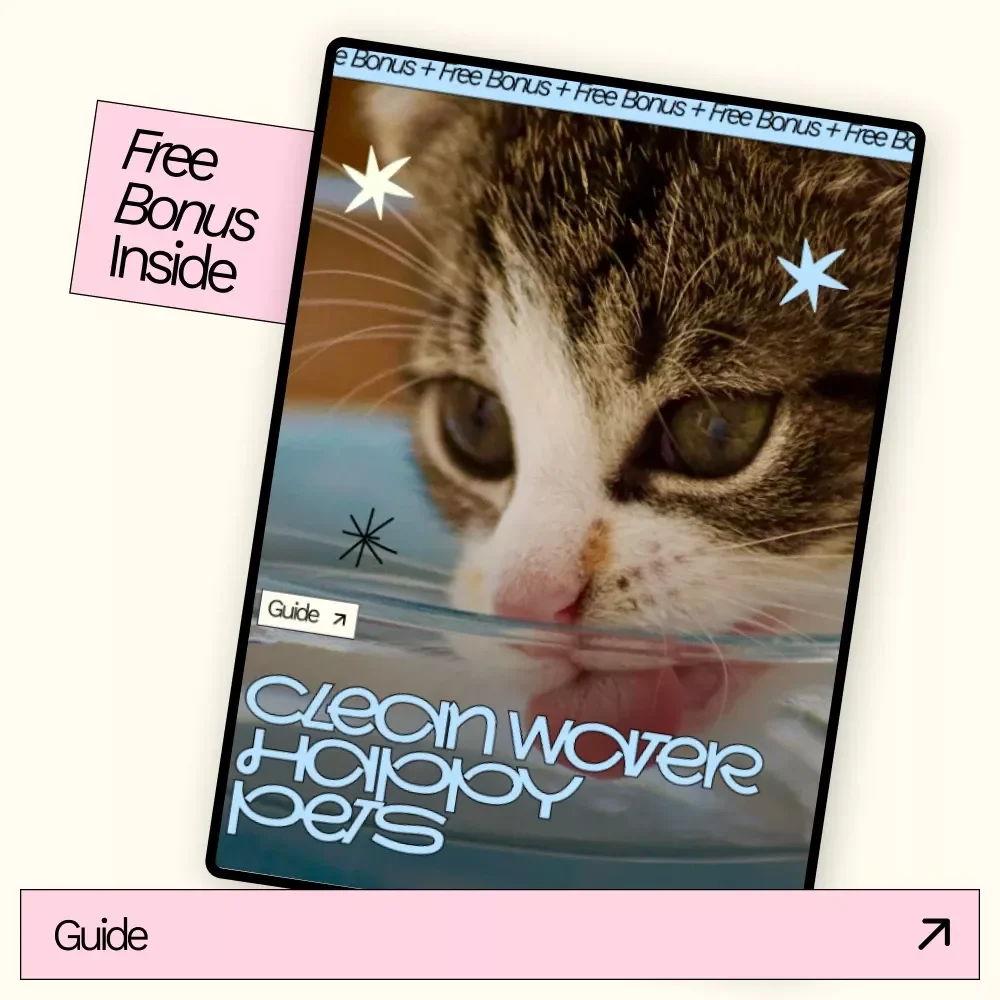 Clean Water Happy Pets – A Practical Guide with Pet Water Station Maintenance Tips for Healthier, Happier Dogs & Cats