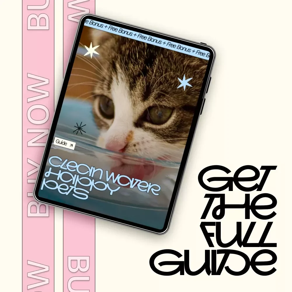 Clean Water Happy Pets – A Practical Guide with Pet Water Station Maintenance Tips for Healthier, Happier Dogs & Cats