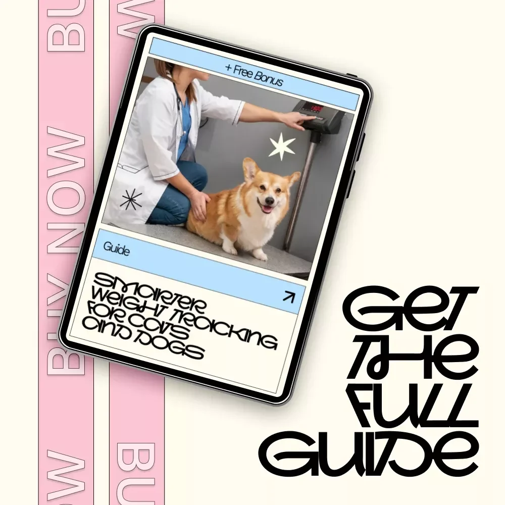 Smarter Weight Tracking for Cats and Dogs – Practical Guide with Cat and Dog Weight Tracker Tool Ideas for Healthier Pets
