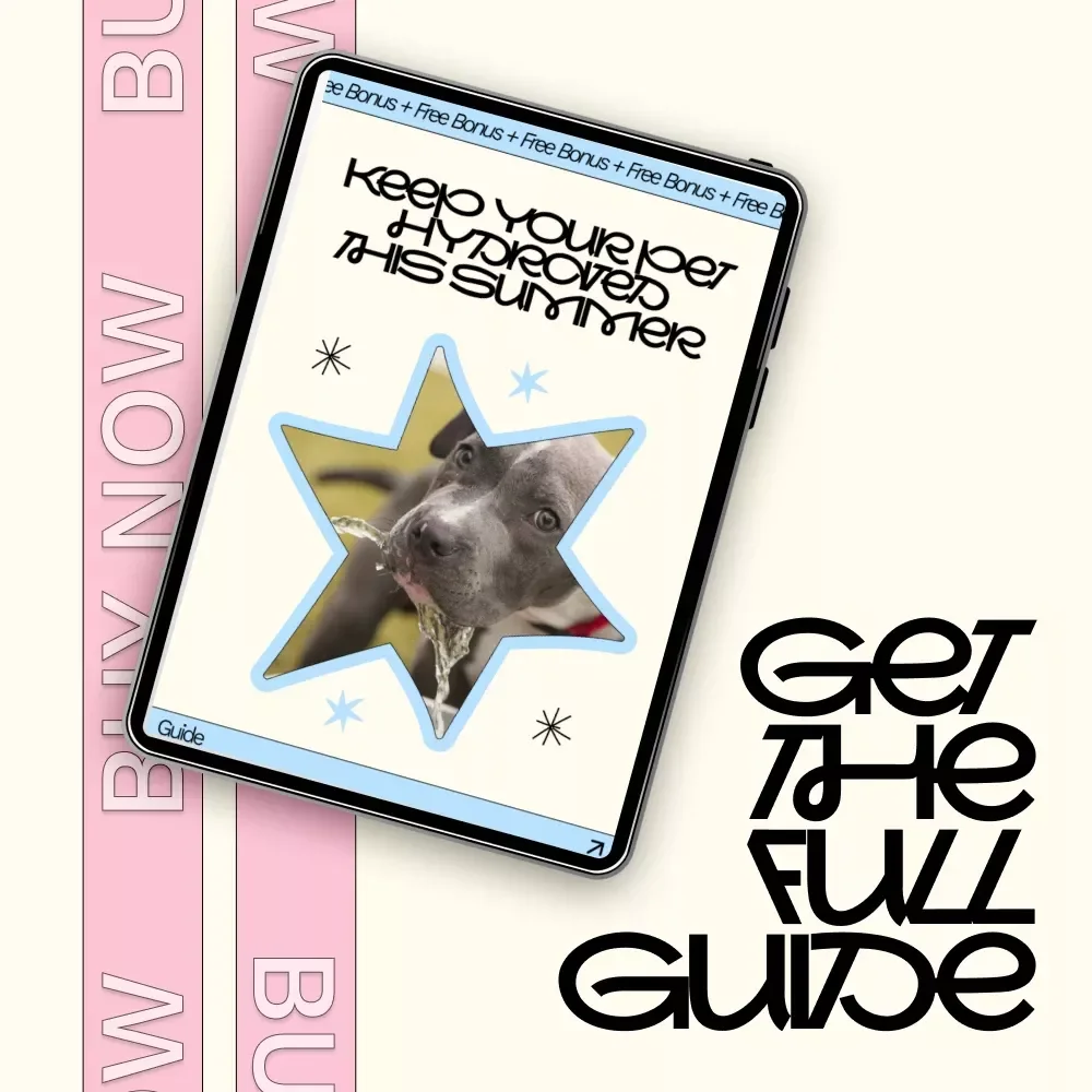Keep Your Pet Hydrated This Summer | Pet Hydration Guide for Dogs & Cats | Summer Pet Care Digital Download, eBook & Checklist