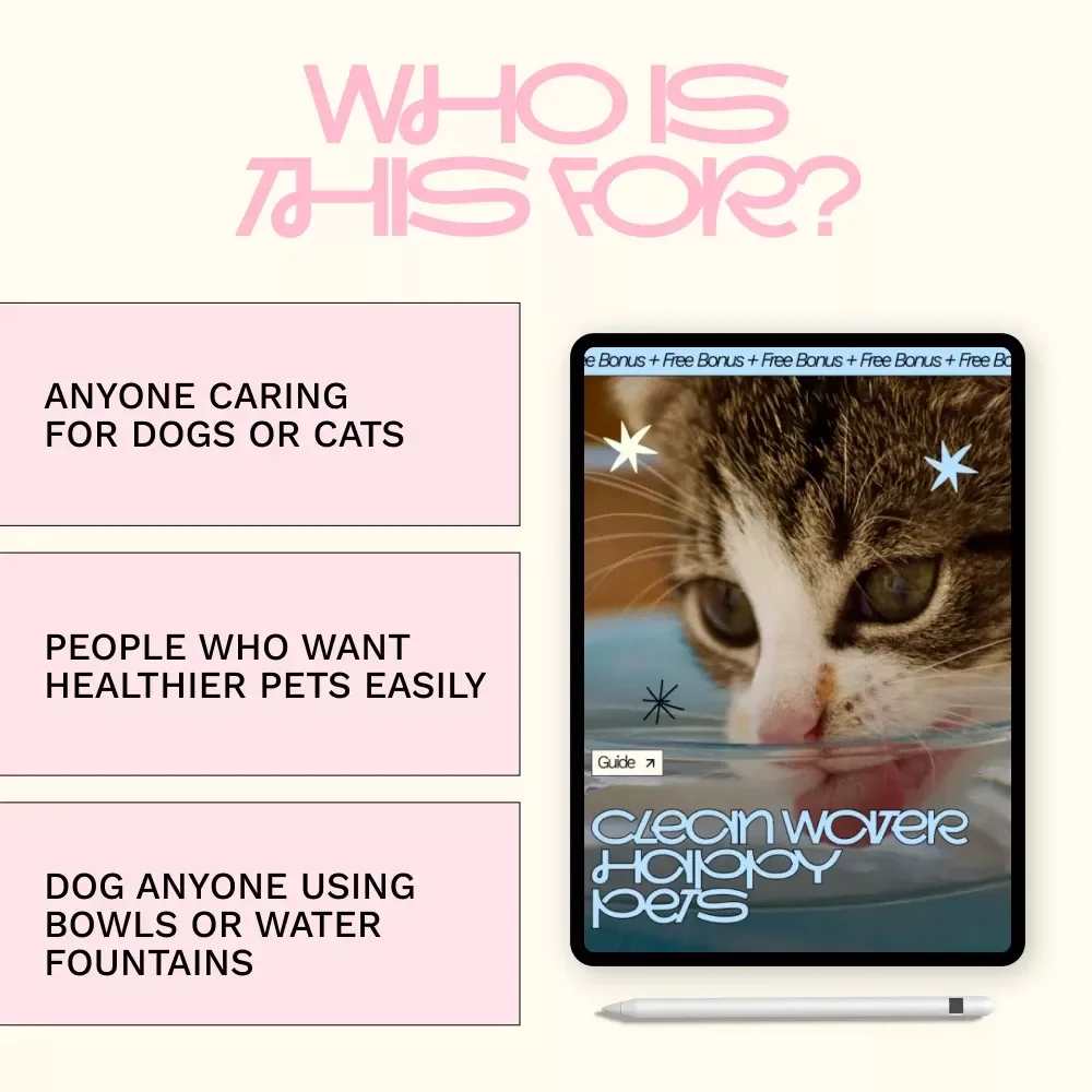 Clean Water Happy Pets – A Practical Guide with Pet Water Station Maintenance Tips for Healthier, Happier Dogs & Cats