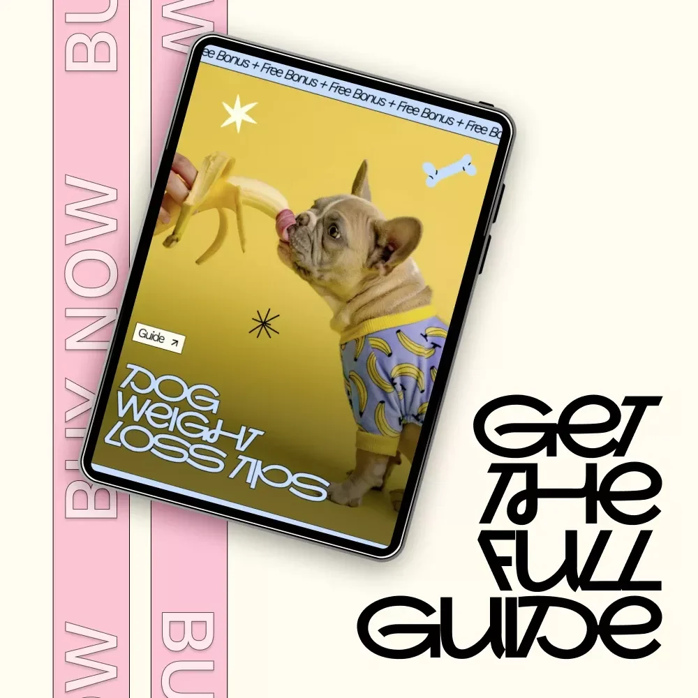 Dog Weight Loss Tips | Easy & Healthy Guide for Happy Dogs | Practical Dog Weight Loss Diet Tips for Pet Parents
