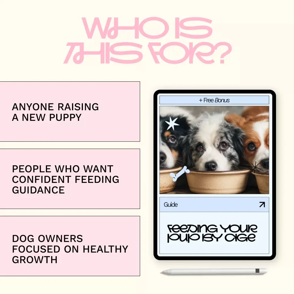 Feeding Your Pup by Age – Puppy Feeding Guide, Dog Nutrition eBook, Puppy Food Checklist, New Puppy Care Digital Download