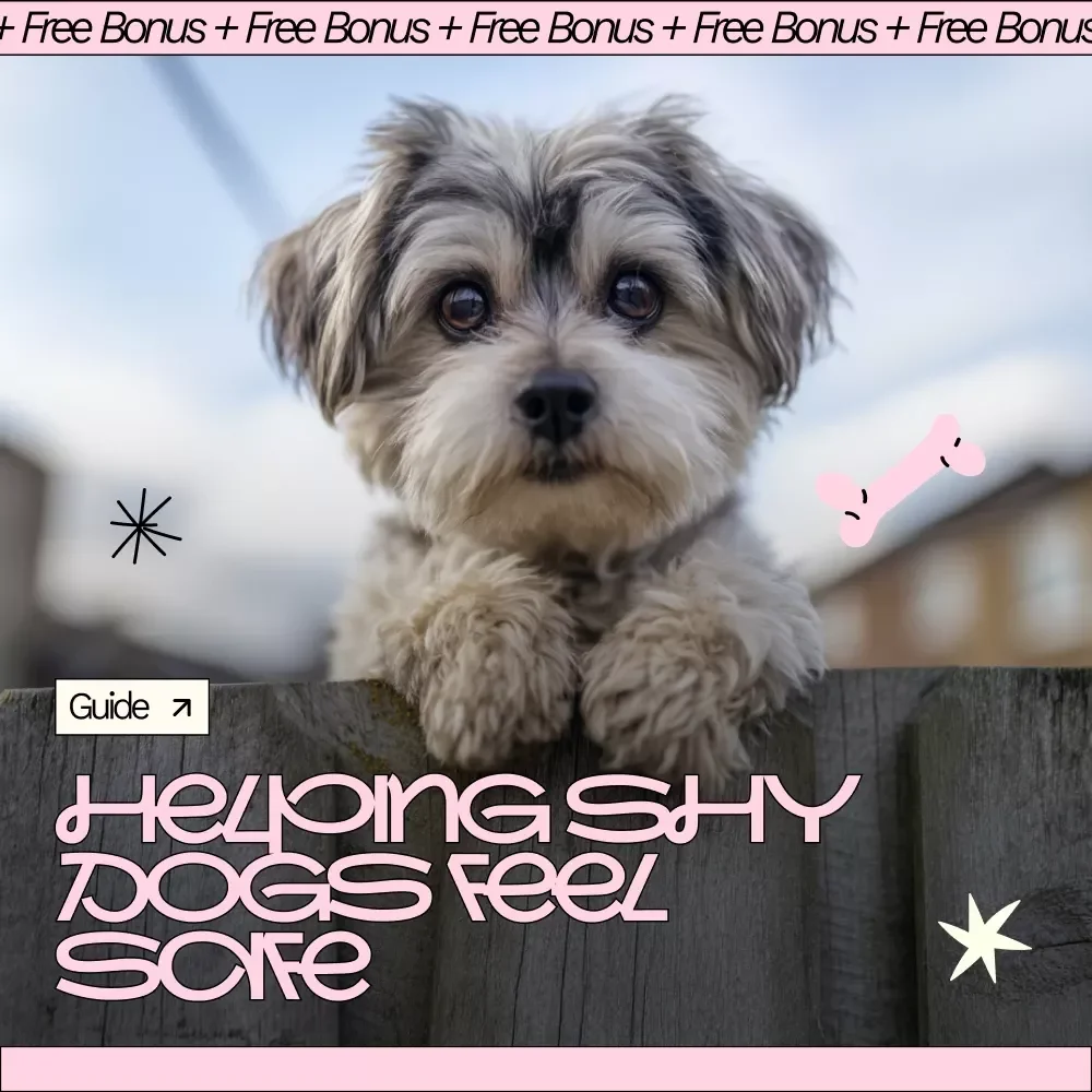 Helping Shy Dogs Feel Safe: A Gentle Ebook Guide on how to socialize a shy dog with Confidence & Trust
