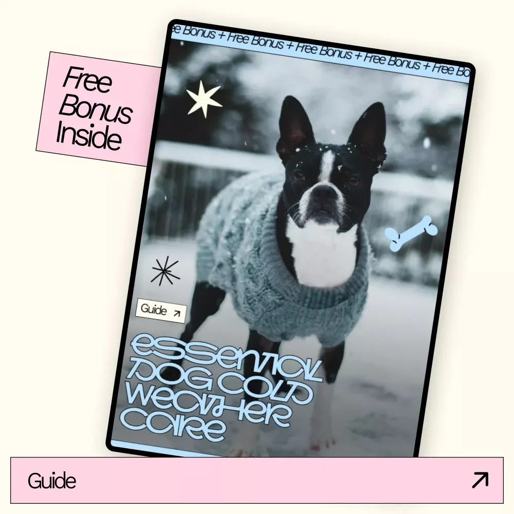 Essential Dog Cold Weather Care – Winter Dog Safety Guide, Cold Weather Tips for Dogs, Printable Pet Care eBook & Checklist for Winter Health
