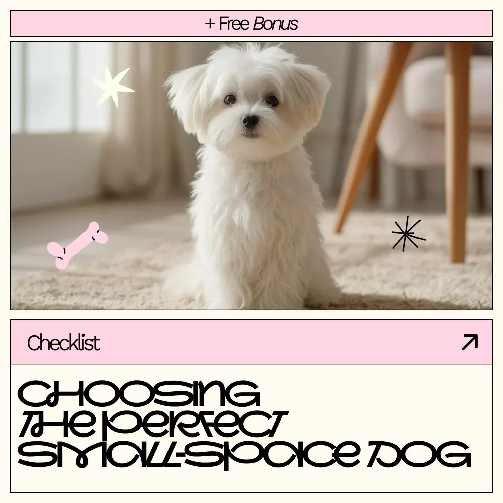 Your Go-To Checklist for Choosing the Perfect Small-Space Dog | Apartment Dog Guide, Small Space Pet Planning Checklist, Digital Download
