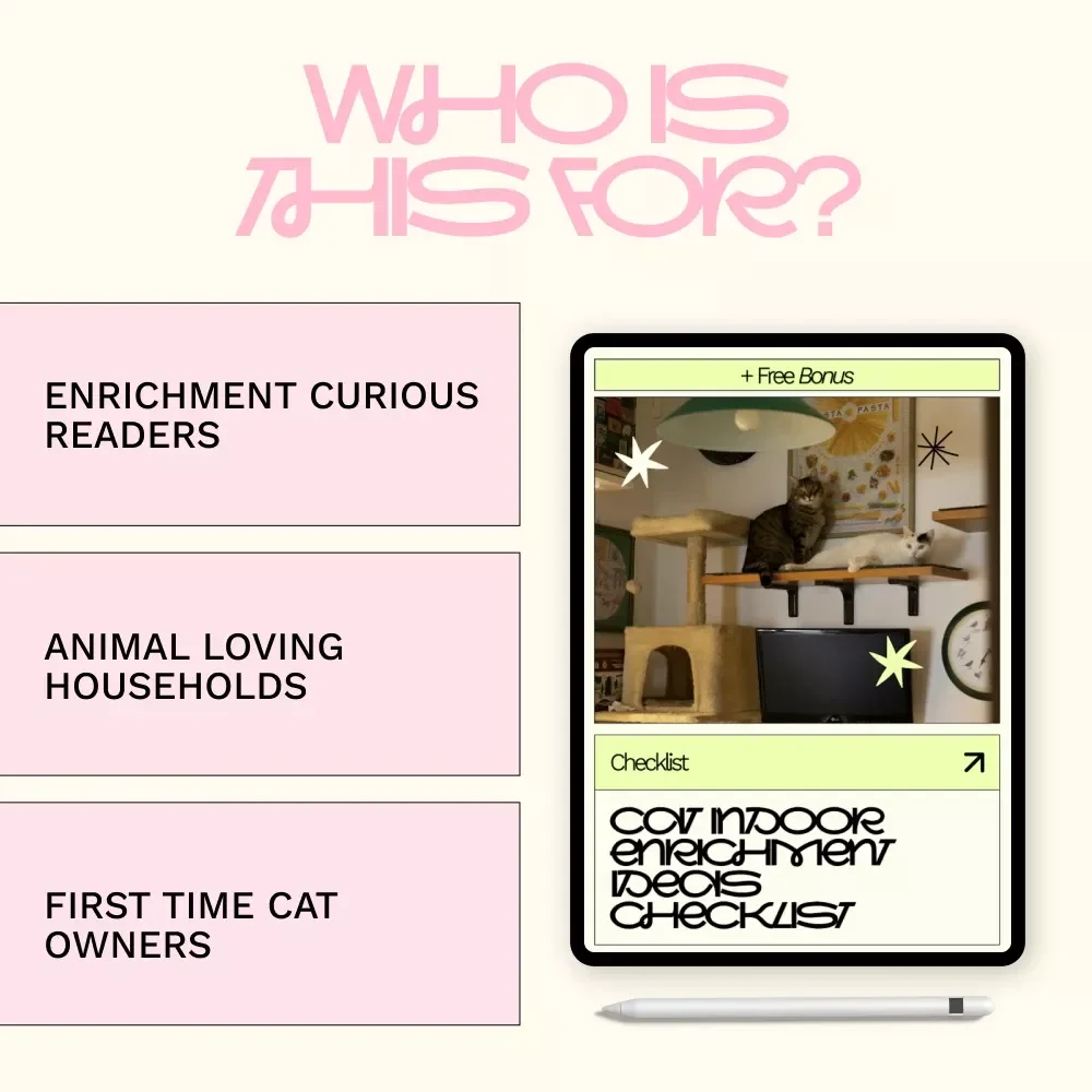 Cat Indoor Enrichment Ideas Checklist | Simple & Fun cat indoor enrichment ideas for Happy, Healthy Indoor Cats | Digital Download