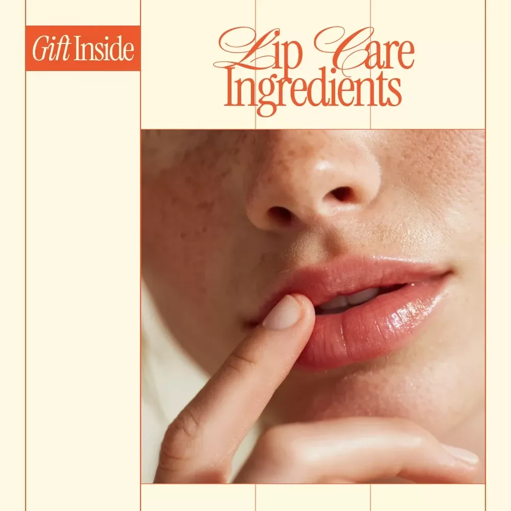 Soft Lips Start with Smart Ingredients – Checklist for what ingredients help with dry lips | Lip Care Ingredient Guide for Dry, Chapped Lips
