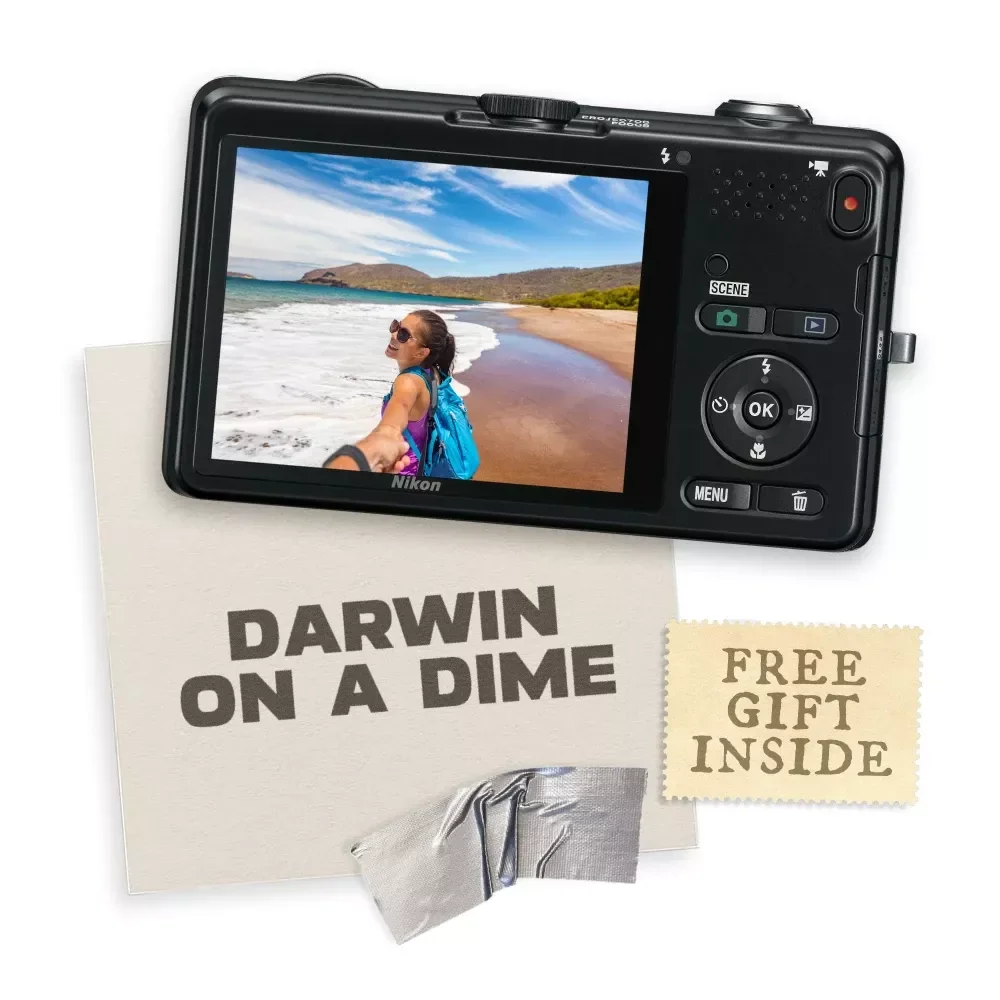 Darwin on a Dime – A Budget-Friendly Guide to Galapagos Islands Trip Planning on a Budget