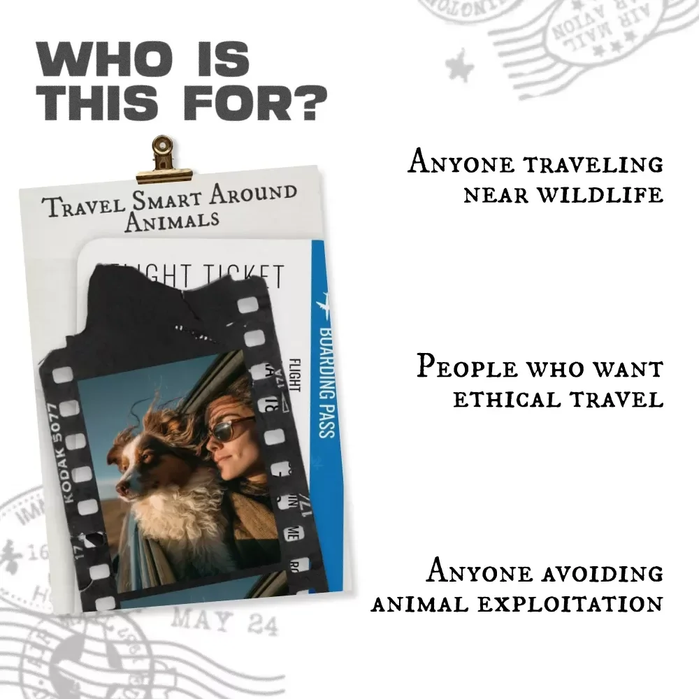 Travel Smart Around Animals – Ethical Animal Tourism What to Avoid Checklist for Responsible Travelers & Conscious Adventures