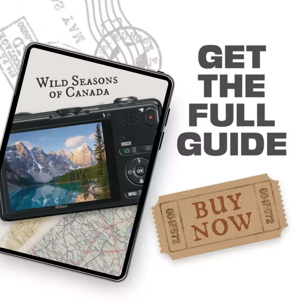 Wild Seasons of Canada – A Nature Lover’s Guide to the Best Time to Visit Canada for Nature, Wildlife & Scenic Planning