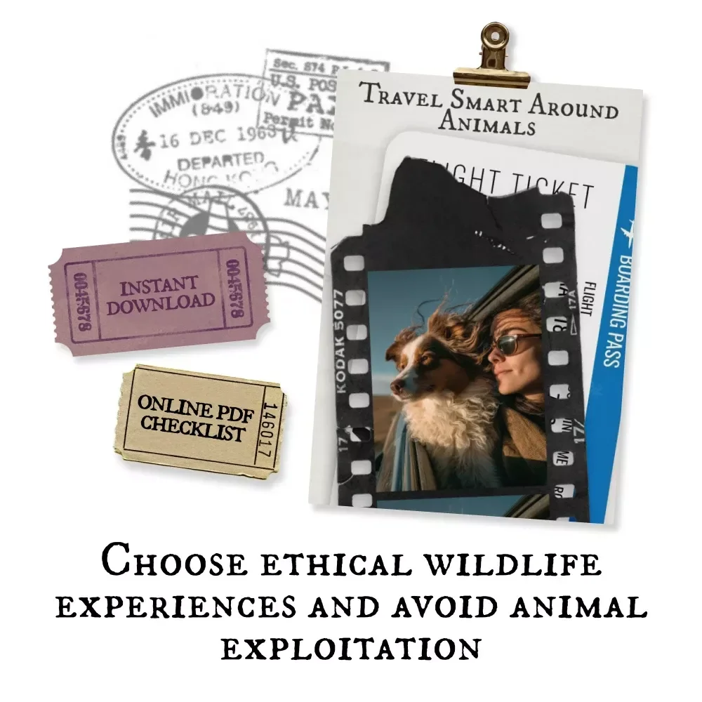 Travel Smart Around Animals – Ethical Animal Tourism What to Avoid Checklist for Responsible Travelers & Conscious Adventures