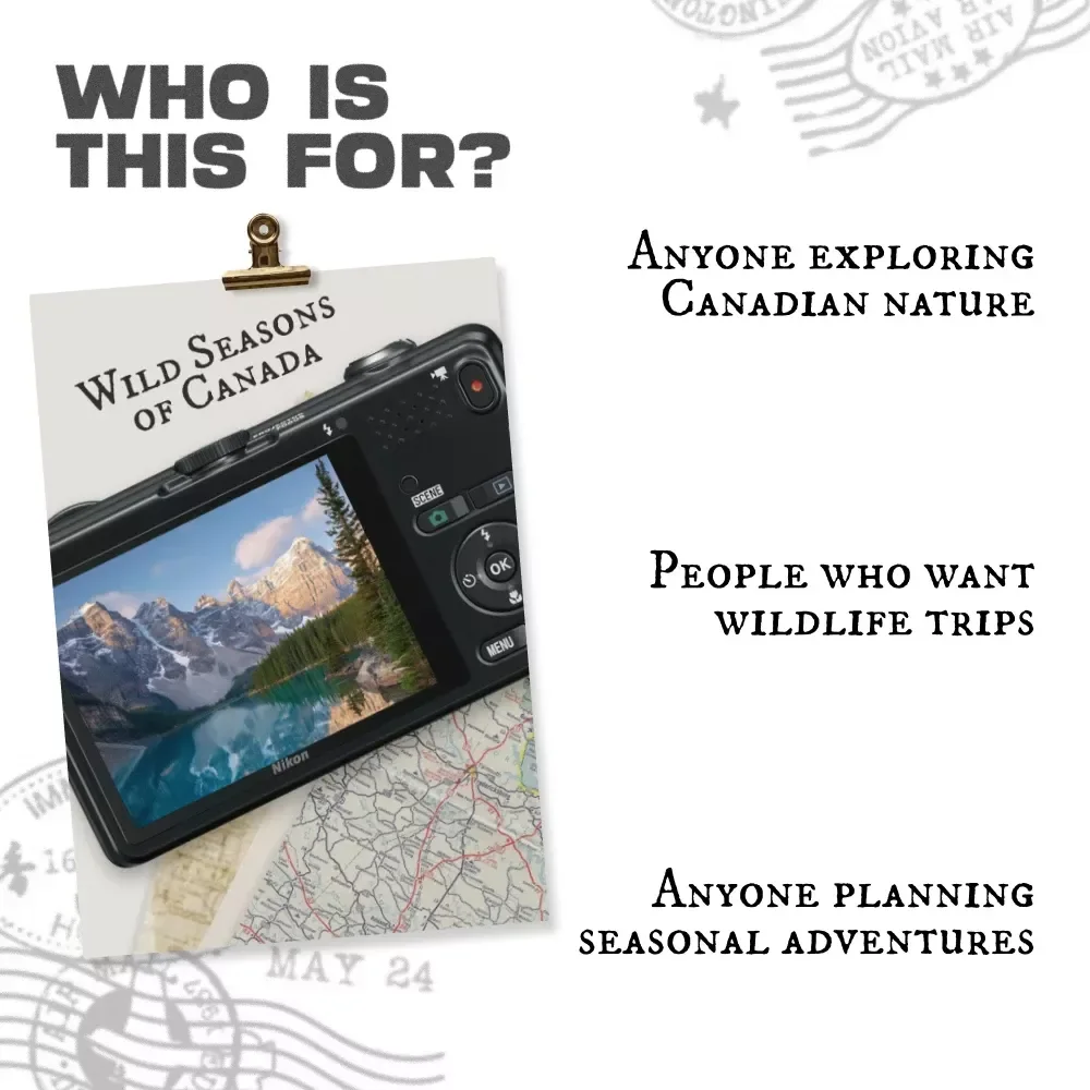 Wild Seasons of Canada – A Nature Lover’s Guide to the Best Time to Visit Canada for Nature, Wildlife & Scenic Planning