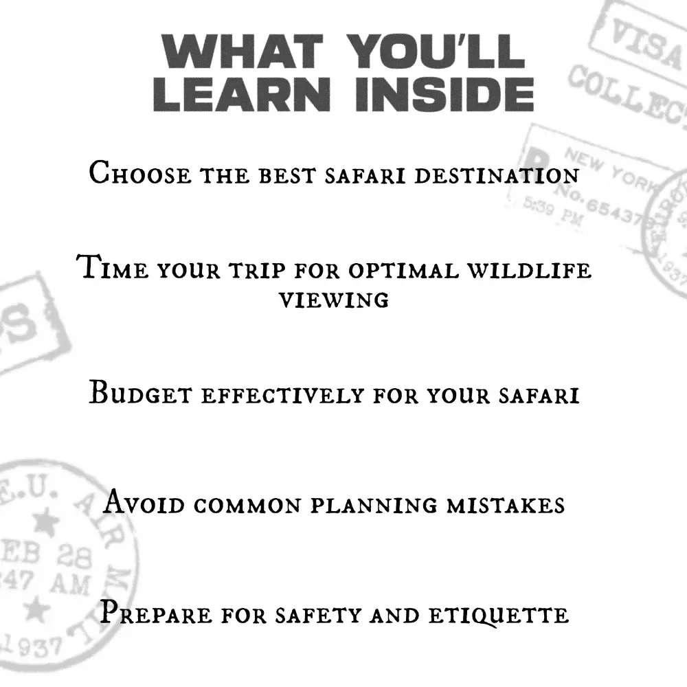 Your First Safari With Confidence: Your Ultimate Guide to Safari Planning and What to Know Before You Go