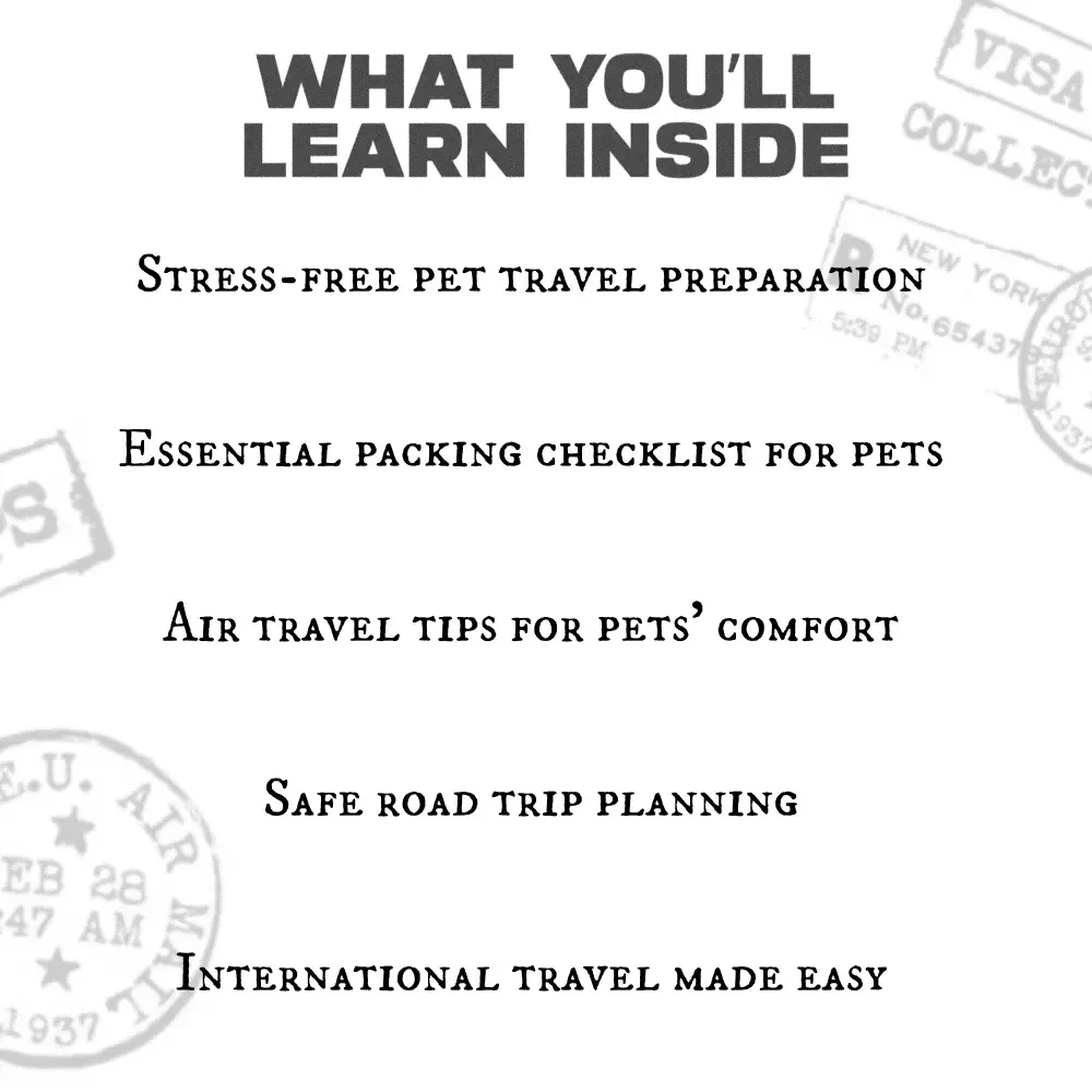 Traveling with Your Pet: Ultimate Guide for Safe and Stress-Free Journeys with Your Furry Friend