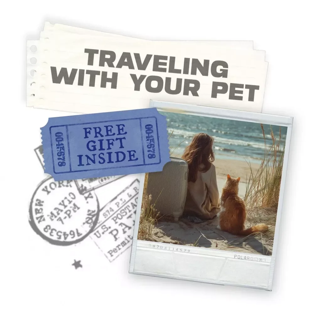 Traveling with Your Pet: Ultimate Guide for Safe and Stress-Free Journeys with Your Furry Friend