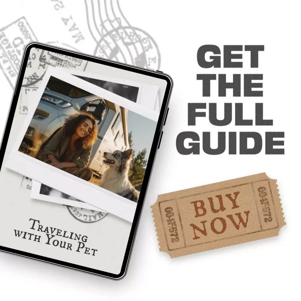 Traveling with Your Pet: Ultimate Guide for Safe and Stress-Free Journeys with Your Furry Friend