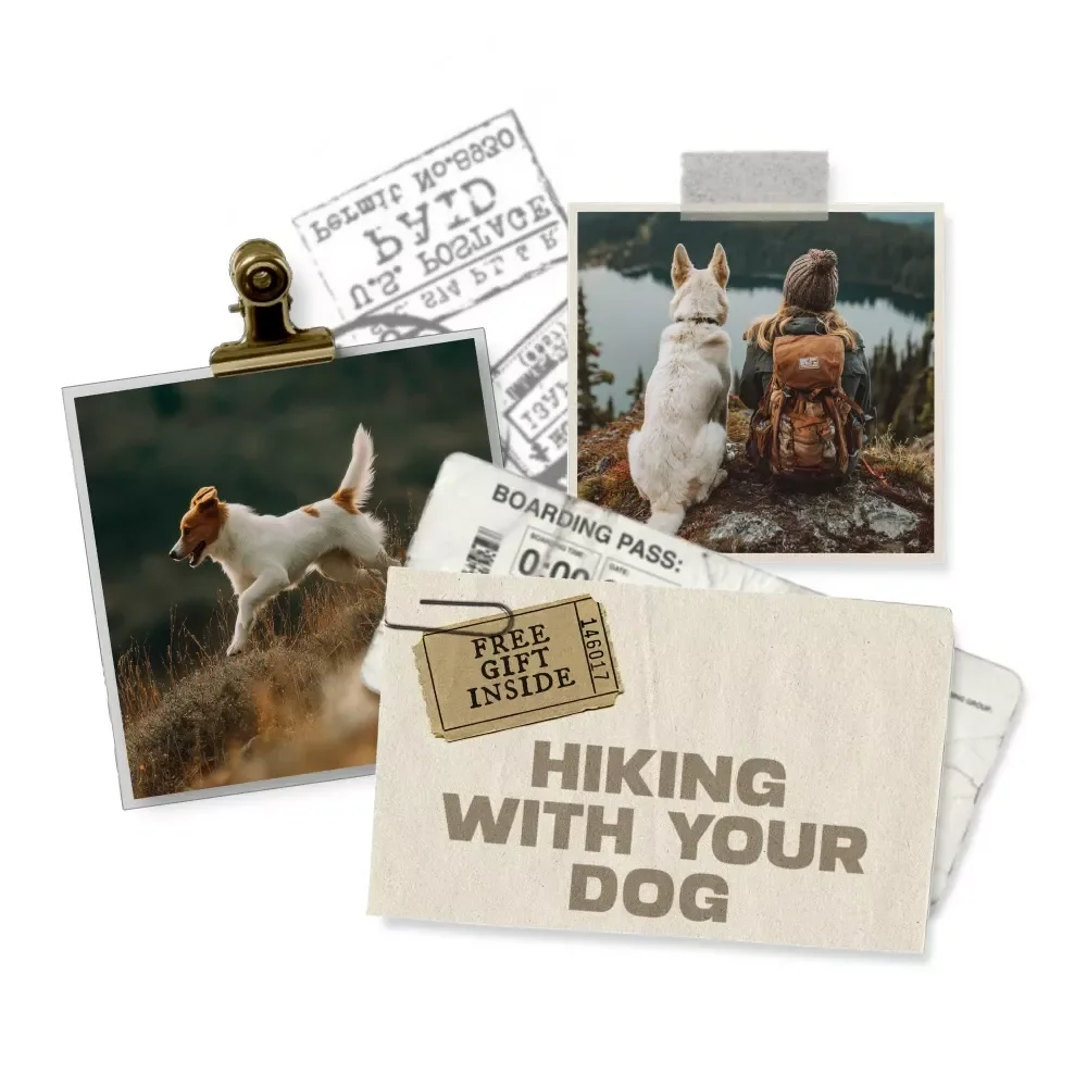 Essential Tips and Hacks for Hiking with Your Dog — Digital Guide for Outdoor Adventures | Expert Hiking with Dogs Tips and Hacks | Safe, Fun & Pet-Friendly Trail Planning