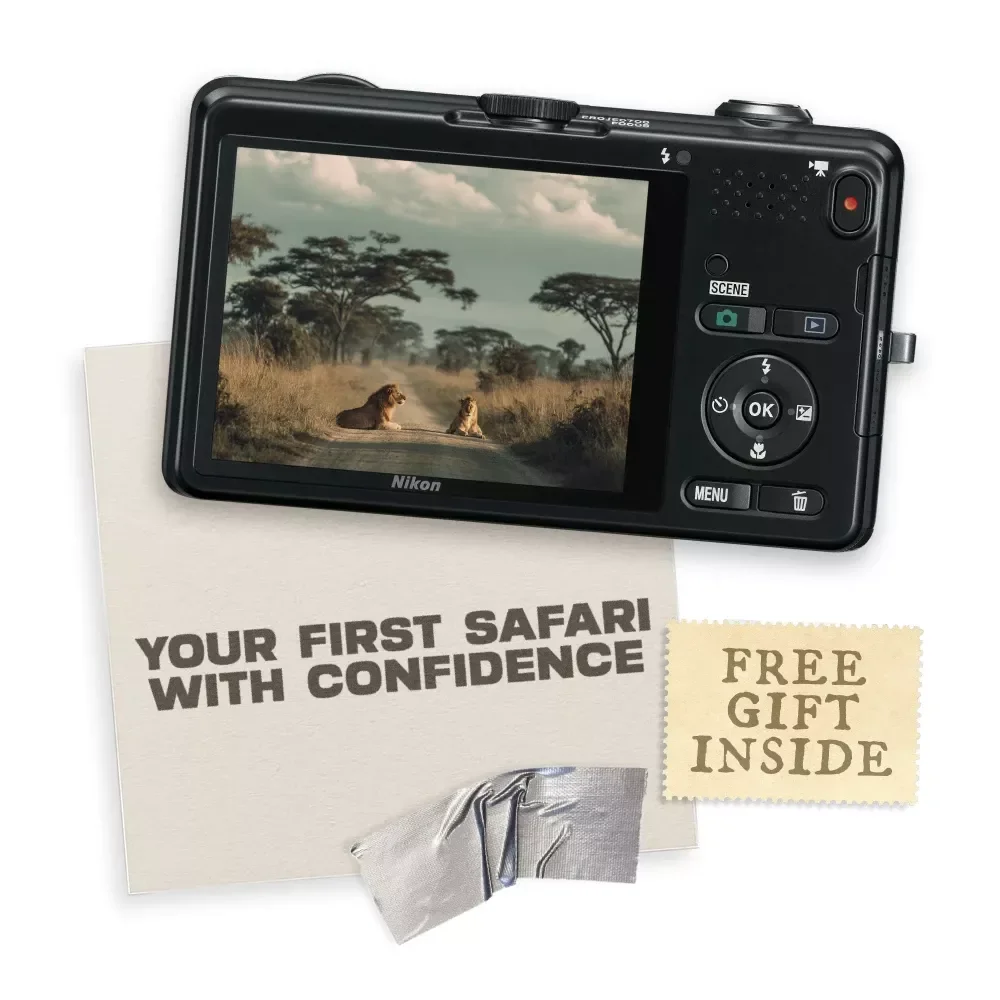 Your First Safari With Confidence: Your Ultimate Guide to Safari Planning and What to Know Before You Go