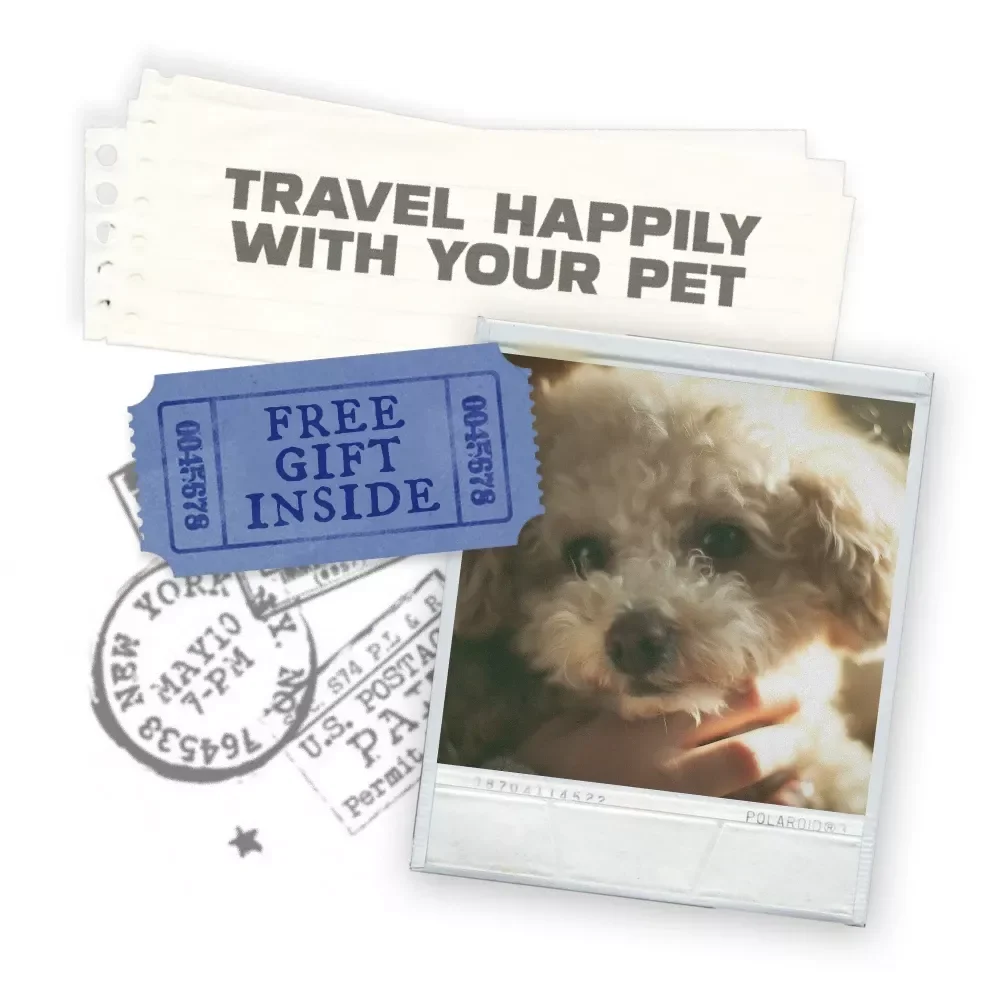 Travel Happily With Your Pet: The Ultimate Guide for Pet-Friendly Travel Tips