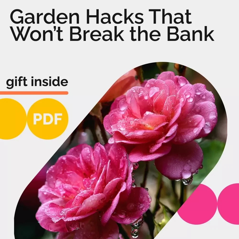 Garden Hacks That Won’t Break the Bank: Budget-Friendly Gardening Guide for Thriving Gardens