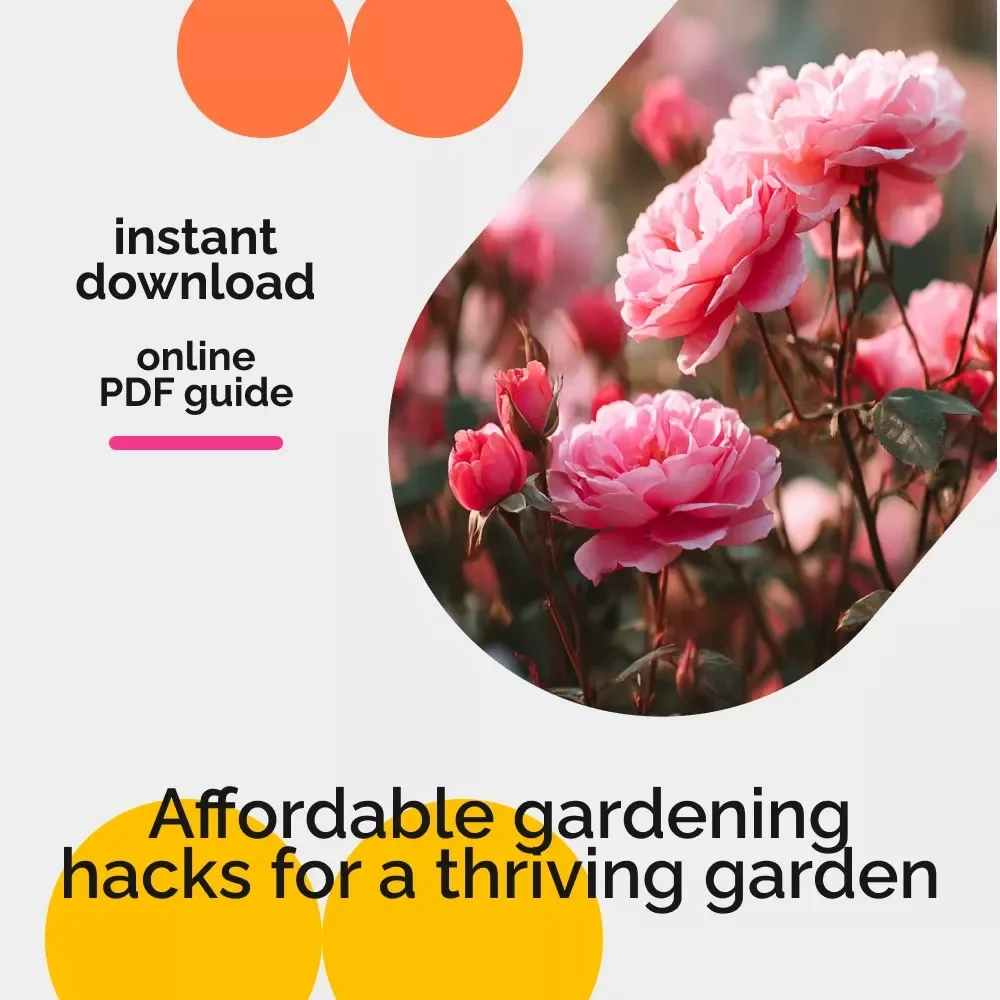 Garden Hacks That Won’t Break the Bank: Budget-Friendly Gardening Guide for Thriving Gardens