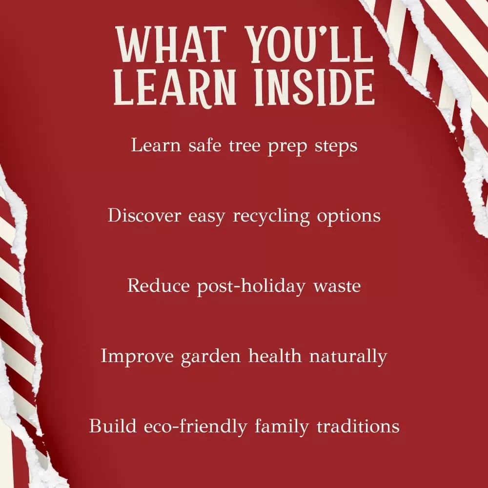 Recycling and Composting Your Real Christmas Tree | Eco-Friendly Holiday Guide | Sustainable Disposal Tips | How to recycle or compost a real christmas tree