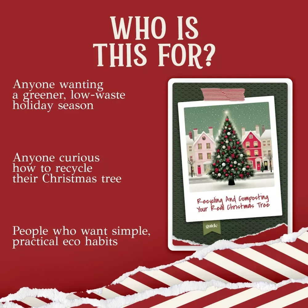 Recycling and Composting Your Real Christmas Tree | Eco-Friendly Holiday Guide | Sustainable Disposal Tips | How to recycle or compost a real christmas tree