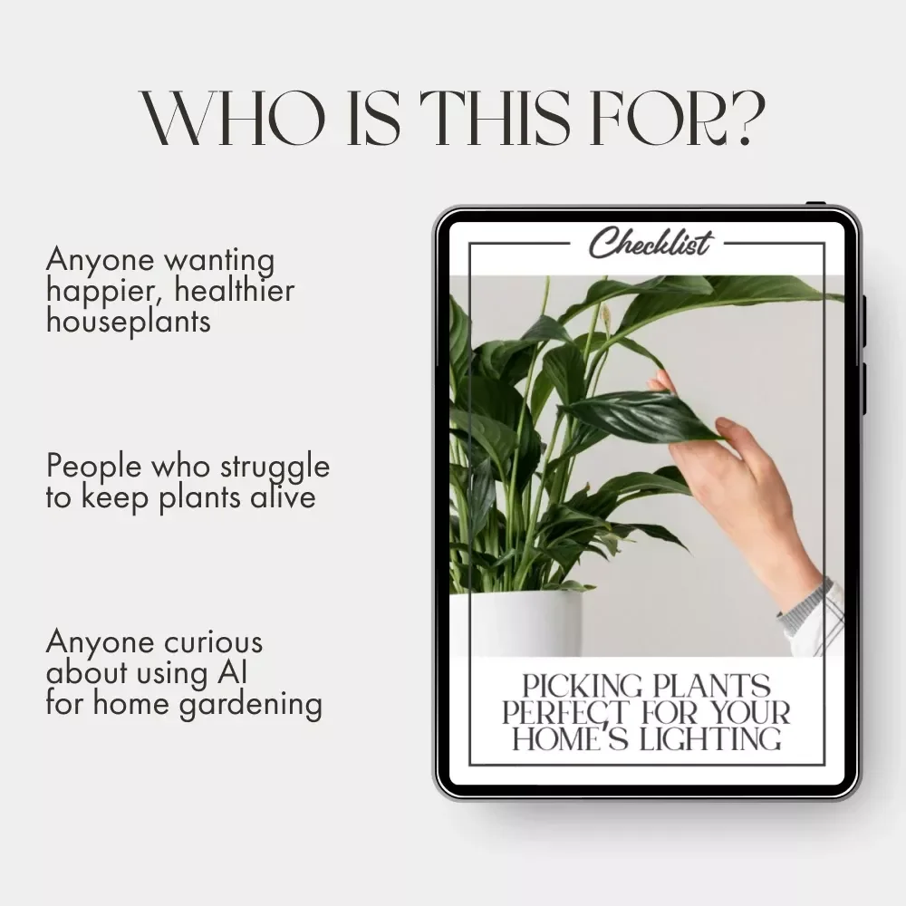 Picking Plants Perfect for Your Home’s Lighting | AI Plant Identification Checklist | How to Use AI to Identify Plants for Your Home's Lighting | Indoor Plant Matching Guide for Beginners