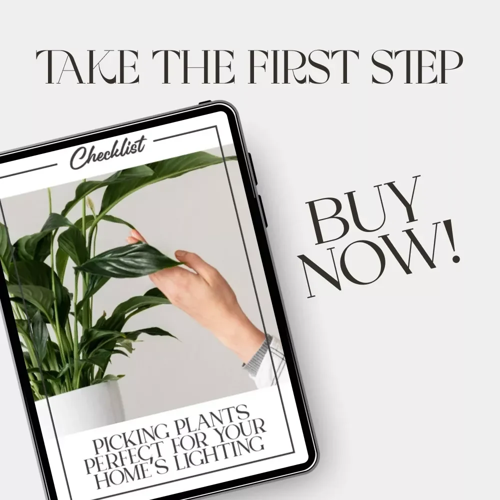 Picking Plants Perfect for Your Home’s Lighting | AI Plant Identification Checklist | How to Use AI to Identify Plants for Your Home's Lighting | Indoor Plant Matching Guide for Beginners