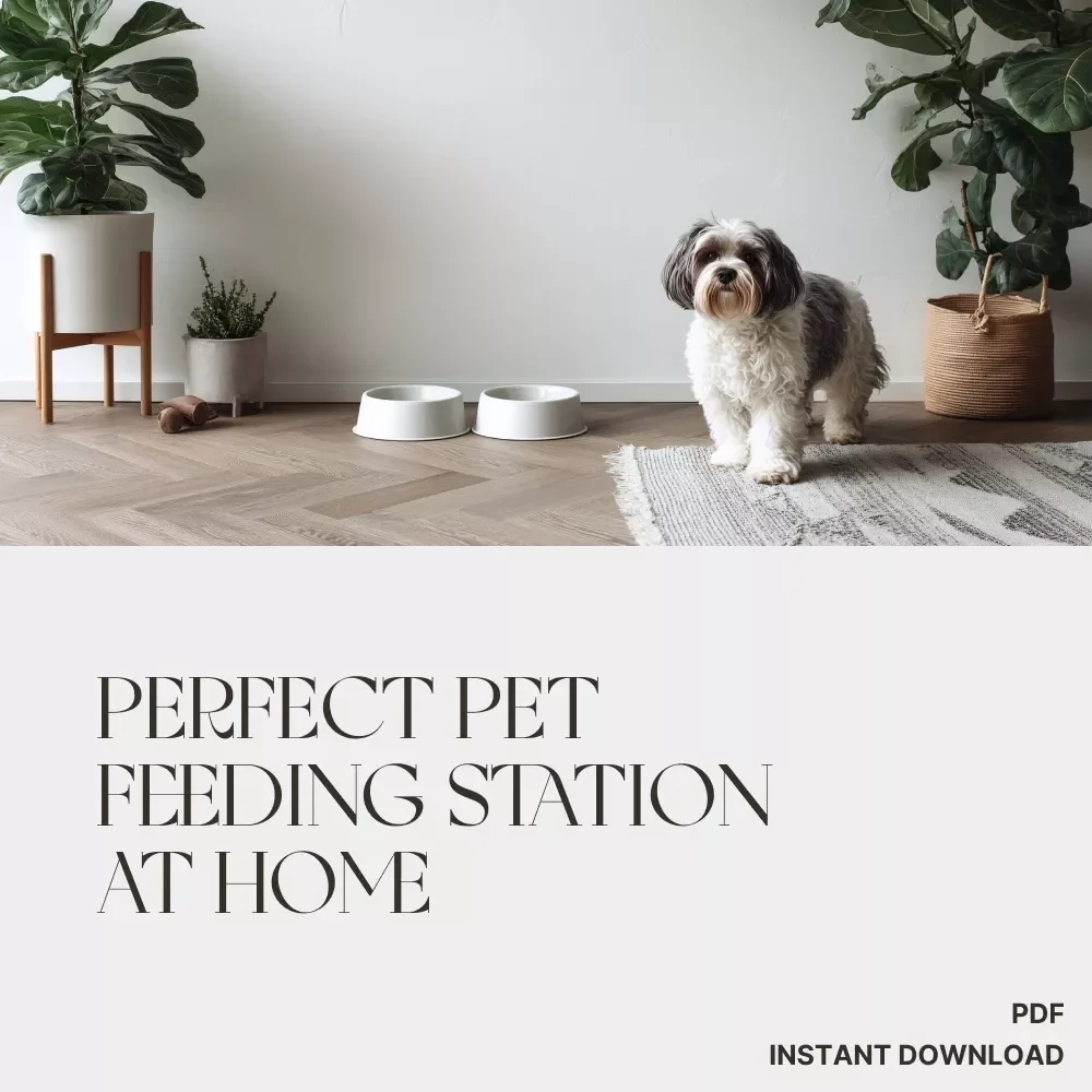 Building the Perfect Pet Feeding Station at Home | Ultimate Digital Guide for Pet Lovers | How to Create a Pet Feeding Station with Smart, Clean, and Organized Design Ideas