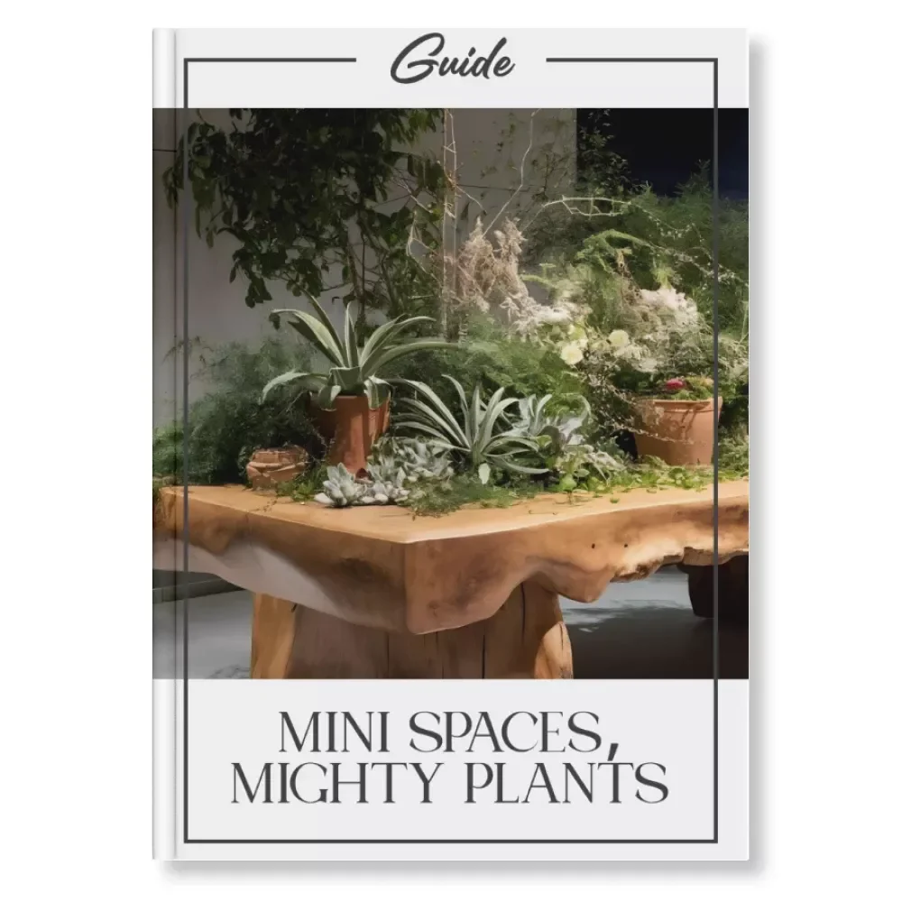 Mini Spaces, Mighty Plants | Digital Guide on How to Add Plants to Small Spaces | Indoor Plant Decor eBook for Apartments, Studios & Tiny Homes