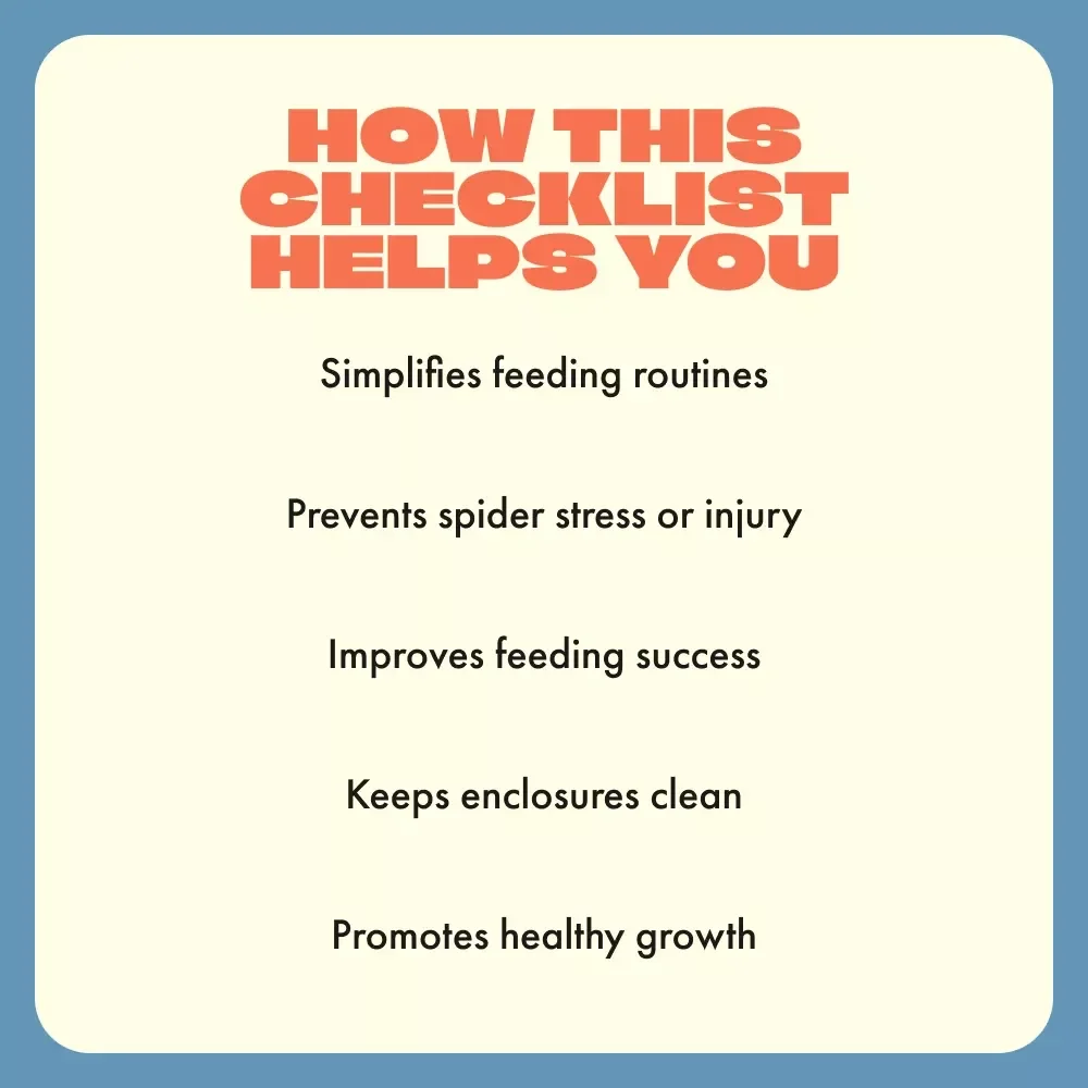 Spider Snacktime Survival Guide – Printable Feeding Pet Spiders Checklist | Tarantula & Insect-Eating Spider Care eBook for Beginners & Hobbyists | Digital Download