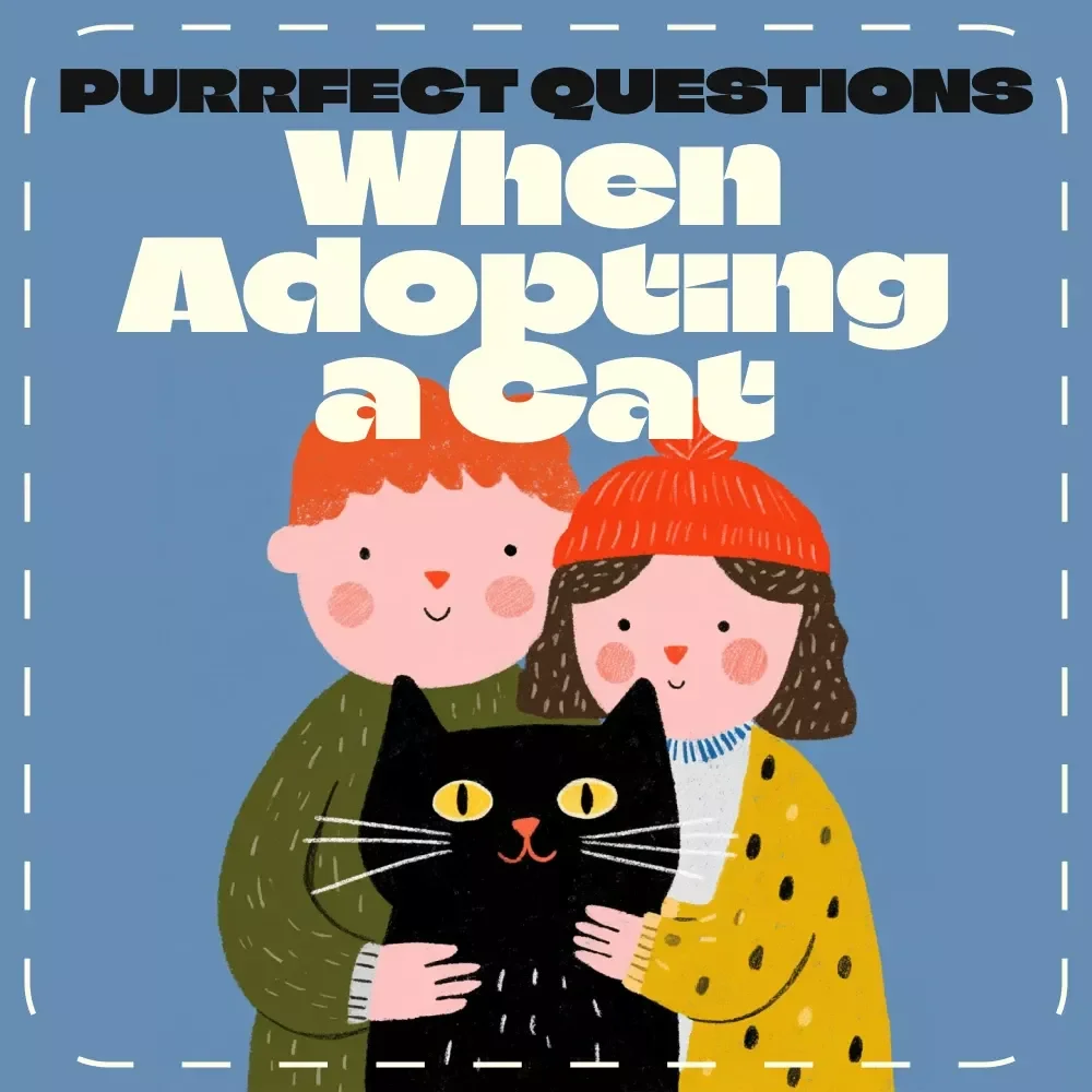 Purrfect Questions When Adopting a Cat | Cat Adoption Guide, eBook & Checklist for New Cat Parents | Digital Download for Responsible Pet Owners