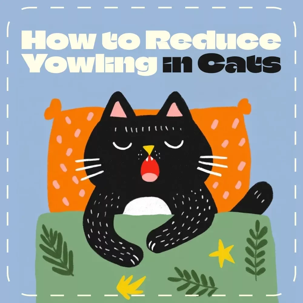 Checklist: How to Reduce Yowling in Cats | Digital Cat Care Guide for Calmer, Happier Felines | Printable Pet Owner Resource