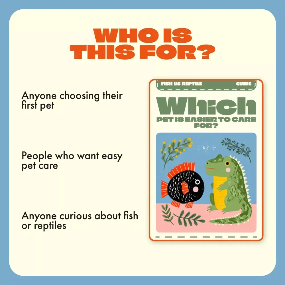 Which Pet is Easier to Care For | Fish vs Reptile Which is Easier | Digital Pet Care Guide for Beginners