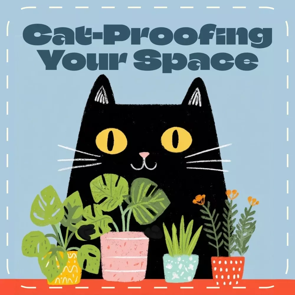 A Practical Guide to Cat-Proofing Your Space | How to Cat Proof Your Home eBook | Digital Download for Cat Lovers & Pet Owners