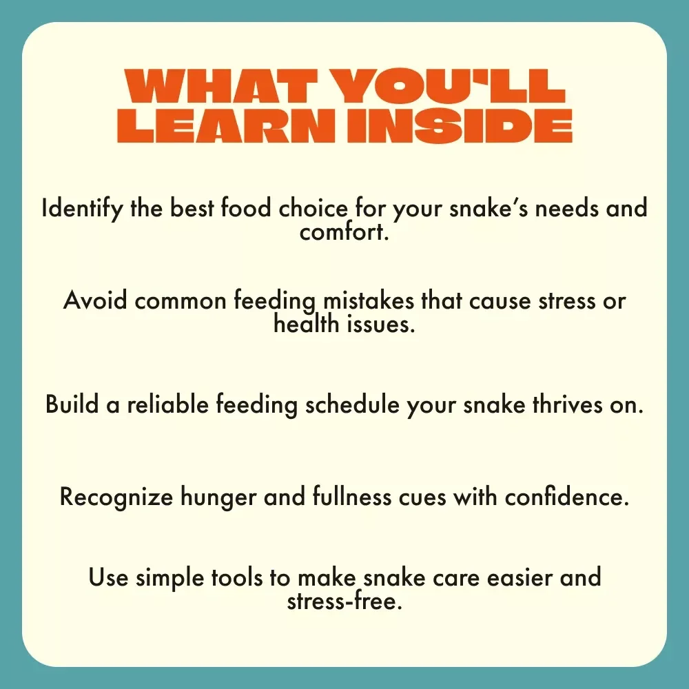 Feeding Your Snake with Confidence | Digital Guide for Snake Owners | Feeding Snakes Tips for Beginners | Printable eBook on Snake Feeding Routine, Safety, and Troubleshooting