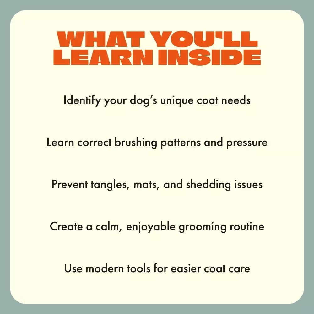 Mastering the Art of Brushing Your Dog | Ultimate Guide for Pet Owners | How to Brush a Dog Properly – Digital Download for Grooming Success