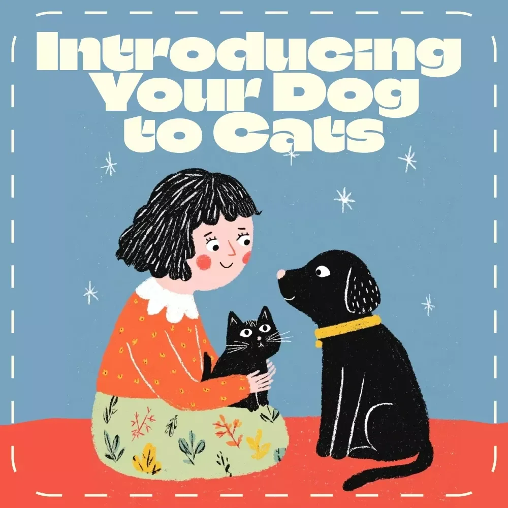 Introducing Your Dog to Cats | Printable Checklist for Pet Owners | How to Introduce a Dog to Cats with Confidence and Calm