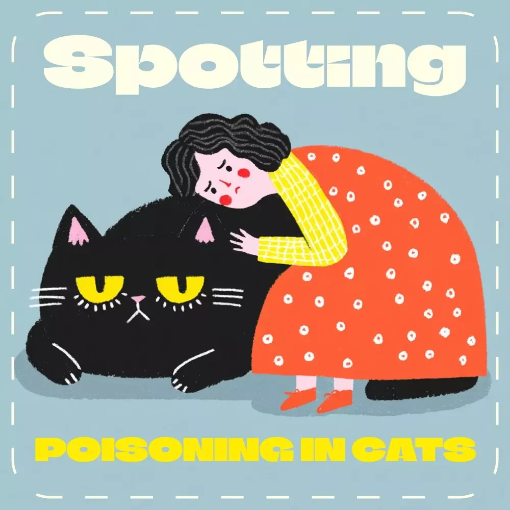 Quick Checklist for Spotting Poisoning in Cats | Instant Digital Download | Pet Safety eBook & Guide for Cat Owners | Identify Early Signs of Poisoning in Cats Fast