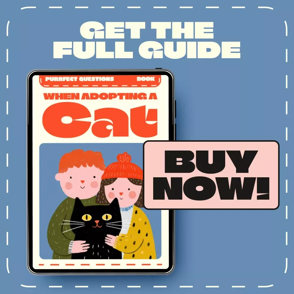 Purrfect Questions When Adopting a Cat | Cat Adoption Guide, eBook & Checklist for New Cat Parents | Digital Download for Responsible Pet Owners