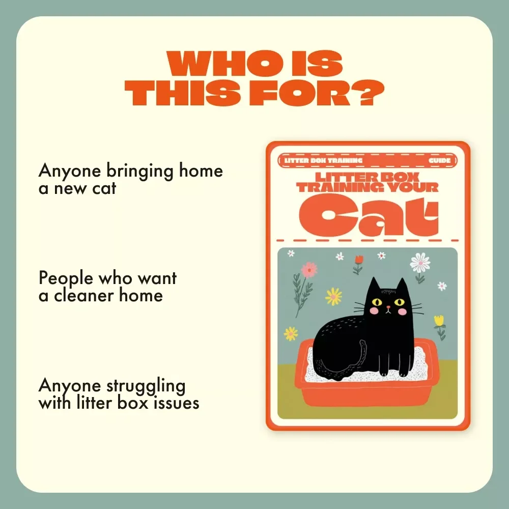 Litter Box Training Your Cat — Complete Step-by-Step Guide for Pet Owners | Digital Download | How to Train a Cat to Use a Litter Box Easily