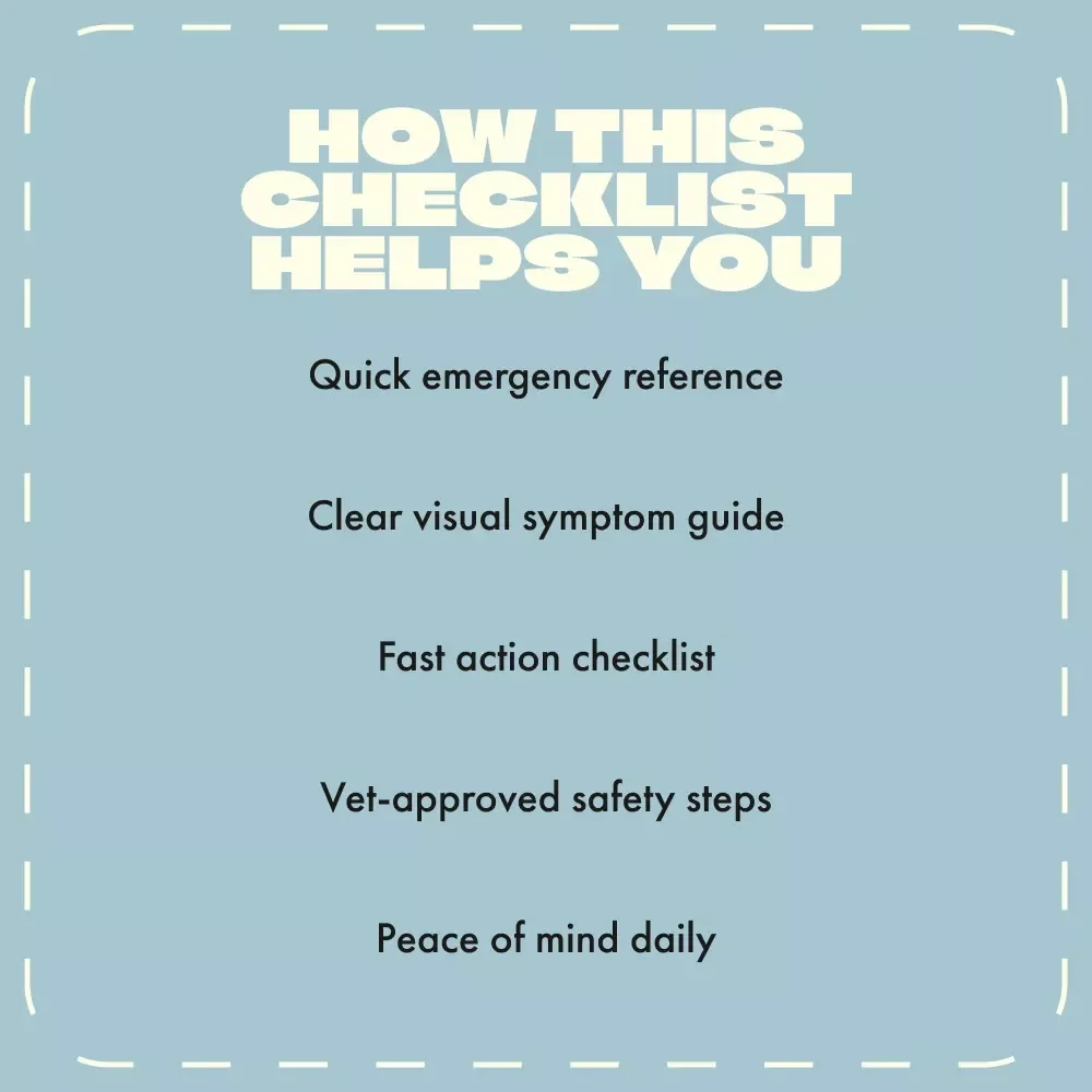 Quick Checklist for Spotting Poisoning in Cats | Instant Digital Download | Pet Safety eBook & Guide for Cat Owners | Identify Early Signs of Poisoning in Cats Fast