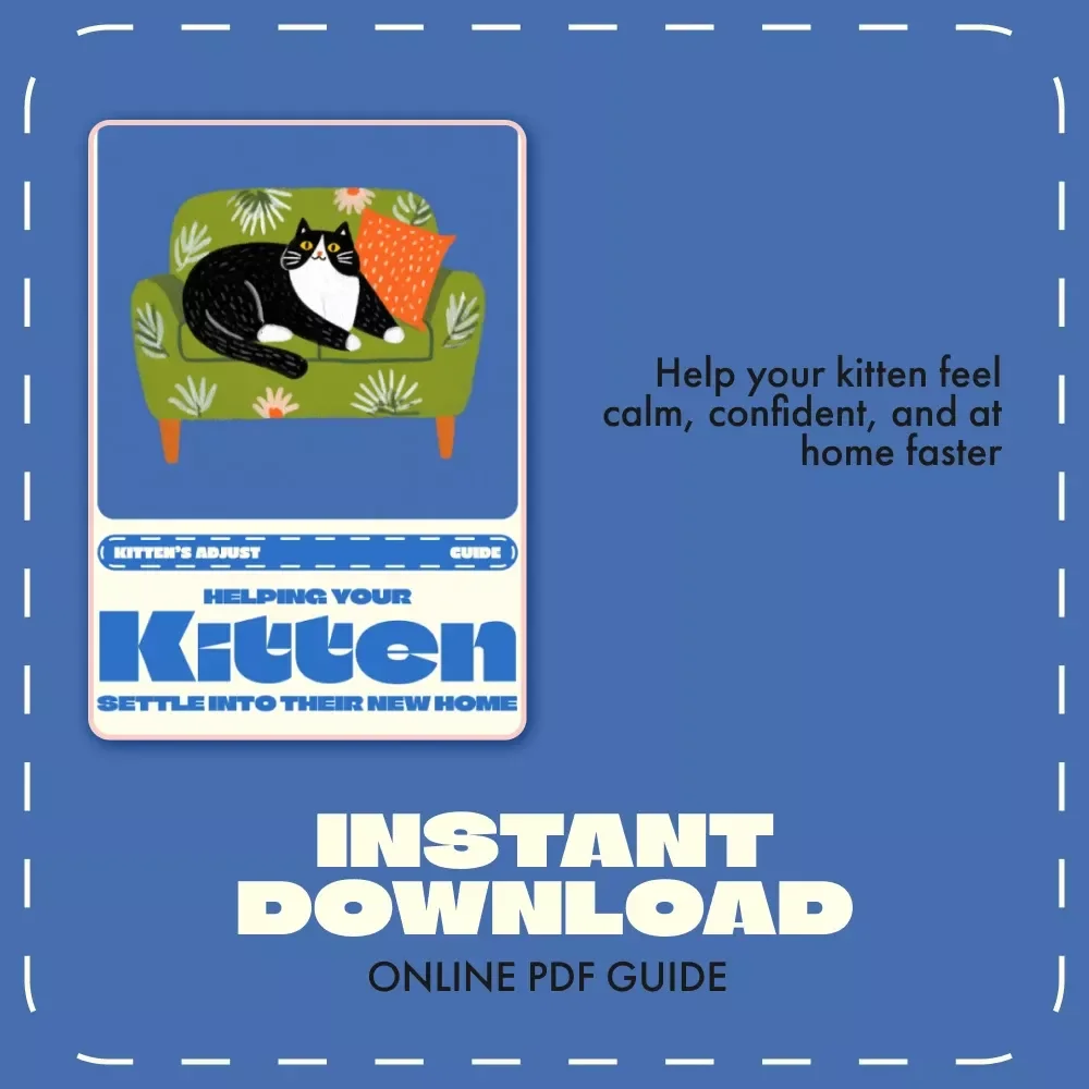 Helping Your Kitten Settle into Their New Home | Digital Guide for New Cat Owners | Step-by-Step eBook on How Long Does It Take a Kitten to Adjust | Feline Care and Comfort Tips