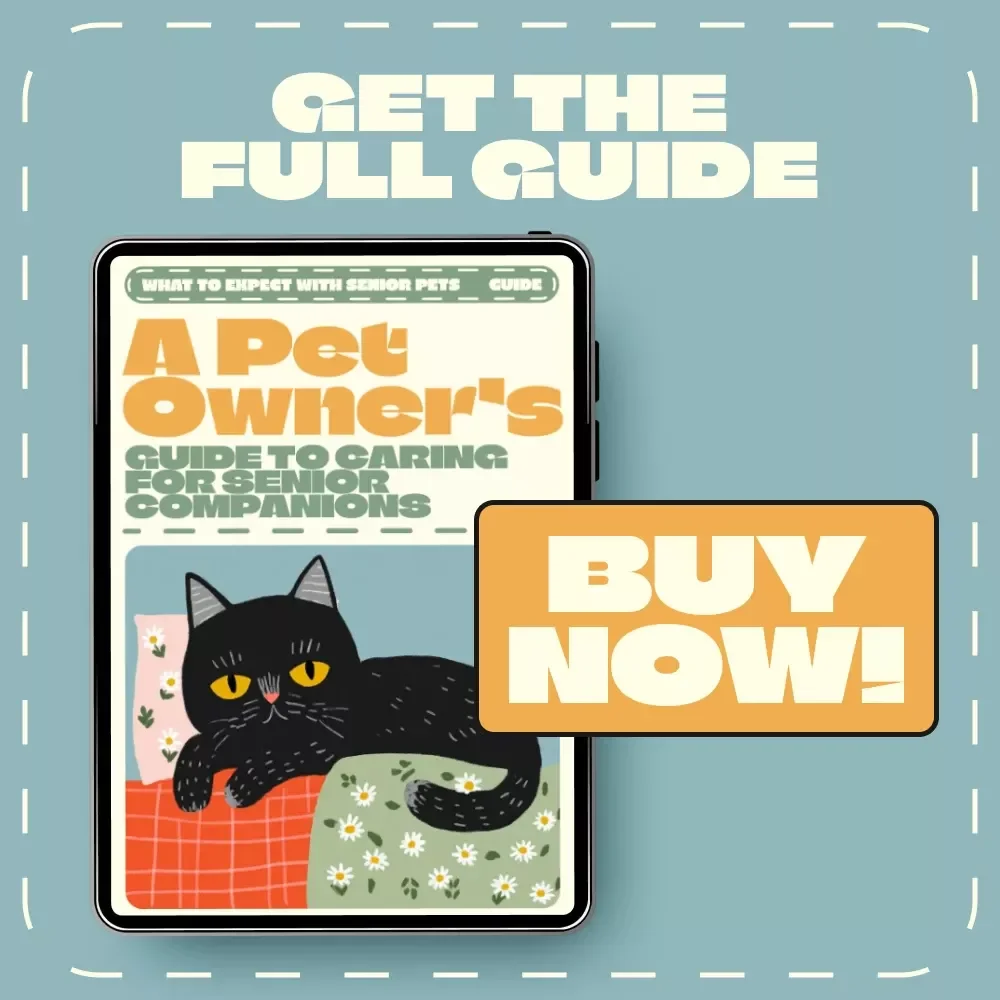 A Pet Owner’s Guide to Caring for Senior Companions – What to Expect with Senior Pets, Health Tips, Comfort, and Emotional Wellbeing