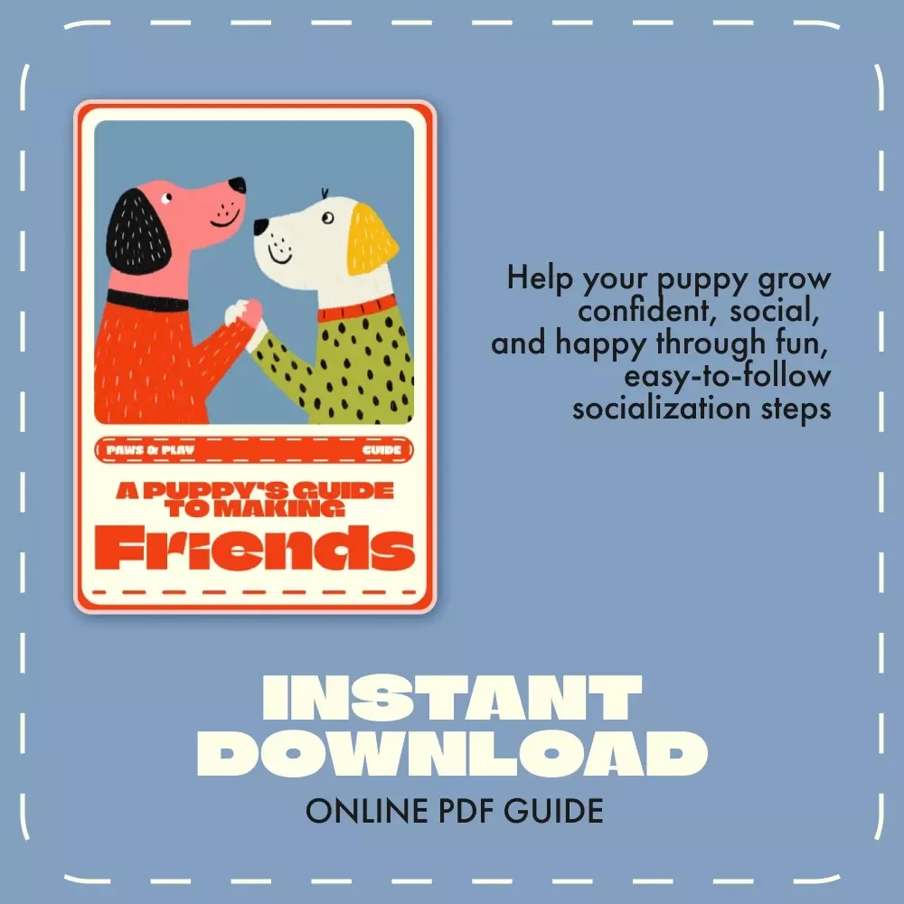 Paws & Play: A Puppy’s Guide to Making Friends | How to Socialize a Puppy with Other Dogs | Digital eBook for New Puppy Owners, Dog Trainers & Pet Lovers