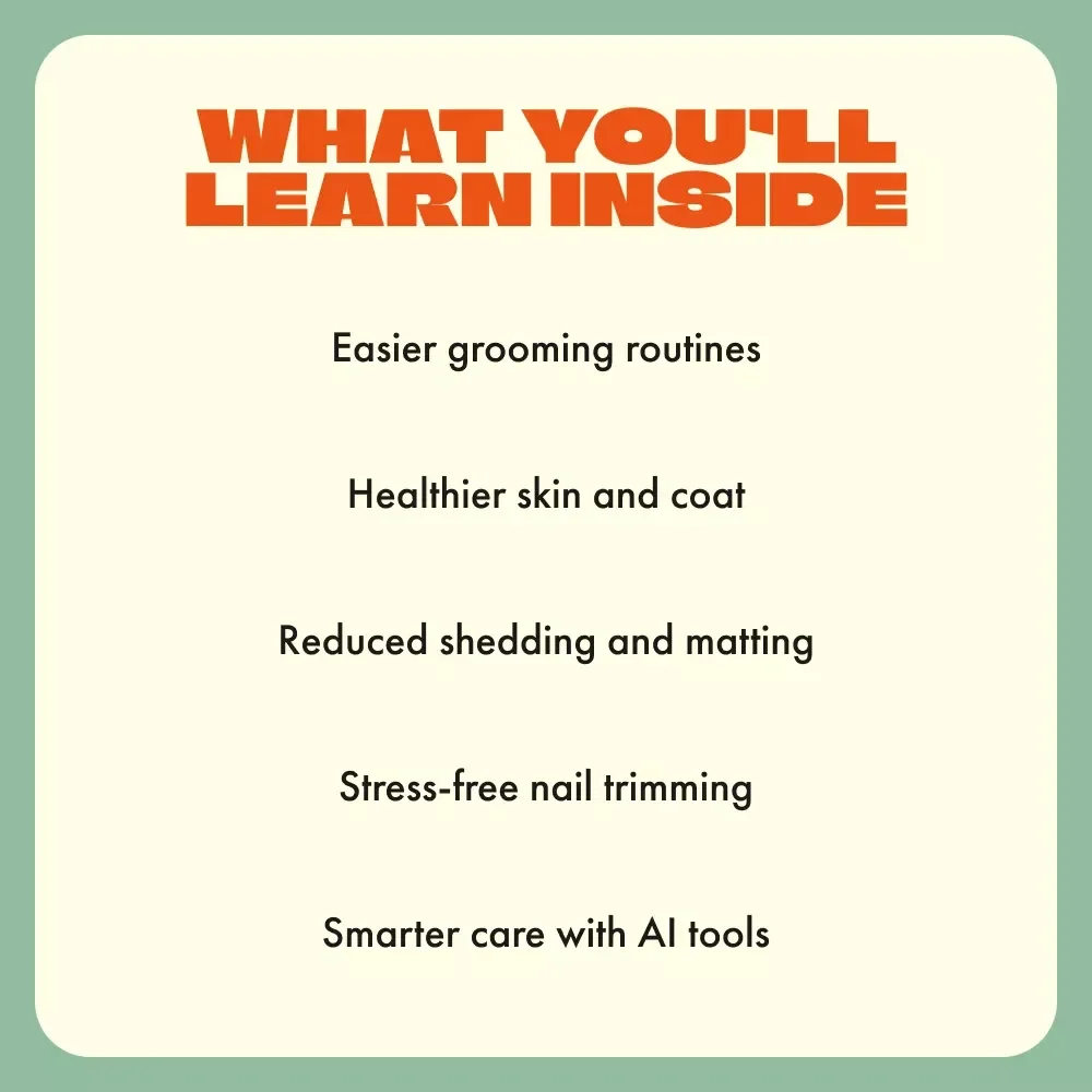 Cat Grooming Essentials | Cat Grooming Basics Digital Guide for Healthy Coats & Happy Cats | Printable Pet Care eBook